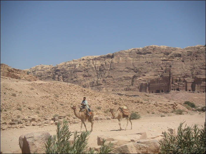 PETRA