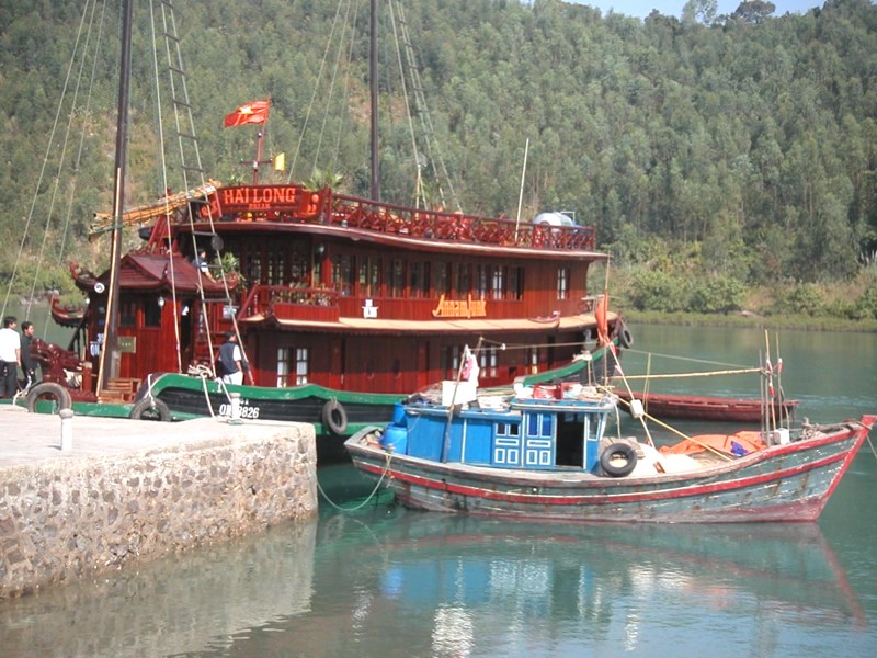 CONG TAY