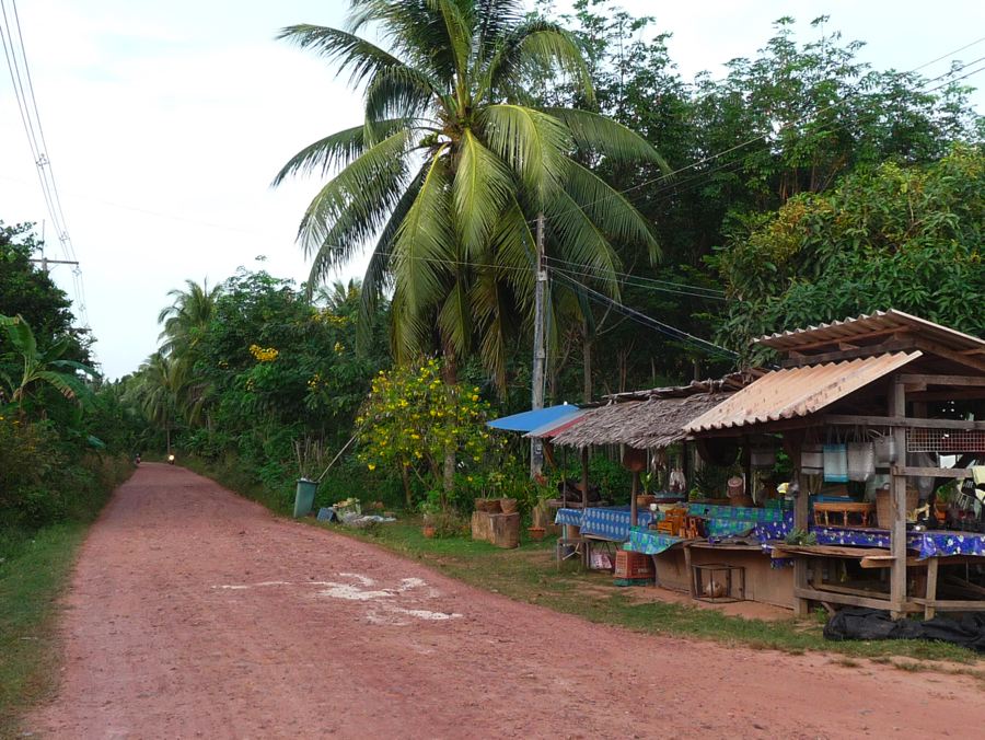 Yao Yai