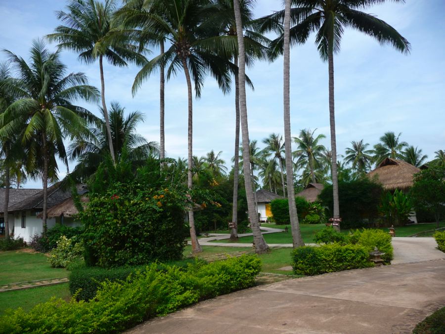 Villa de luxe à l'Elixir Resort 