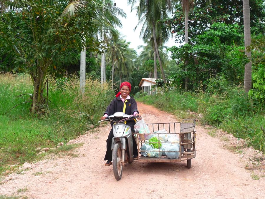 le chemin de terre
