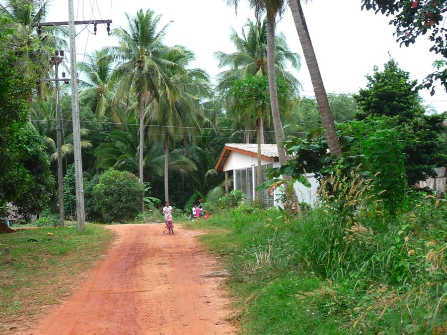 le chemin de terre