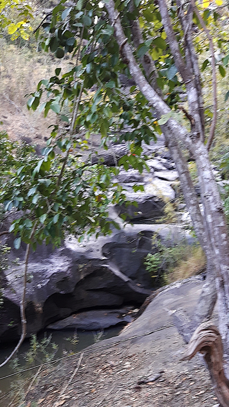 Soi Sawan