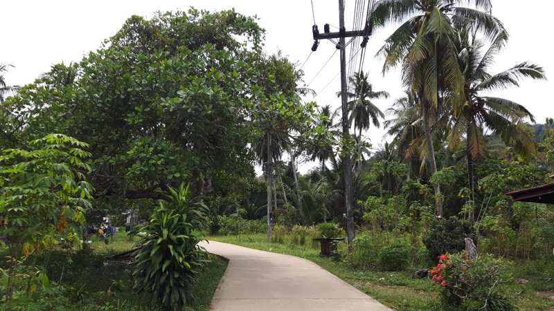 Koh Mook
