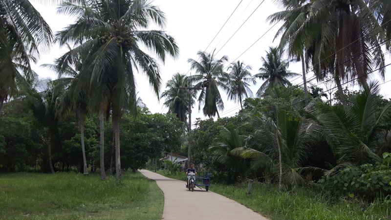 Koh Mook