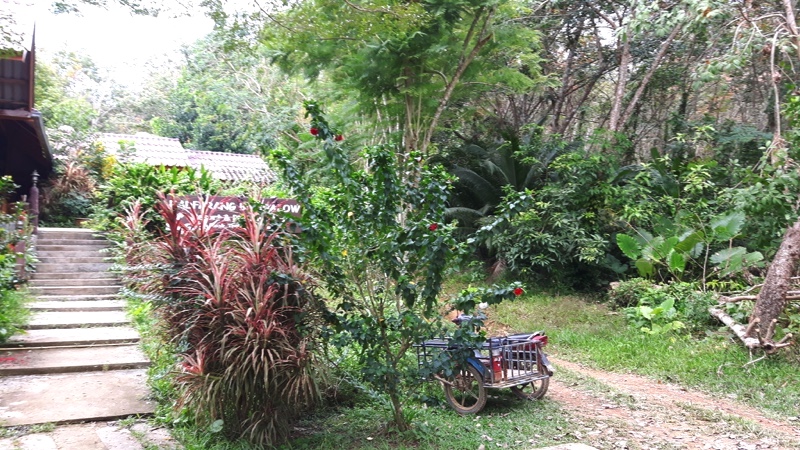 Koh Muk