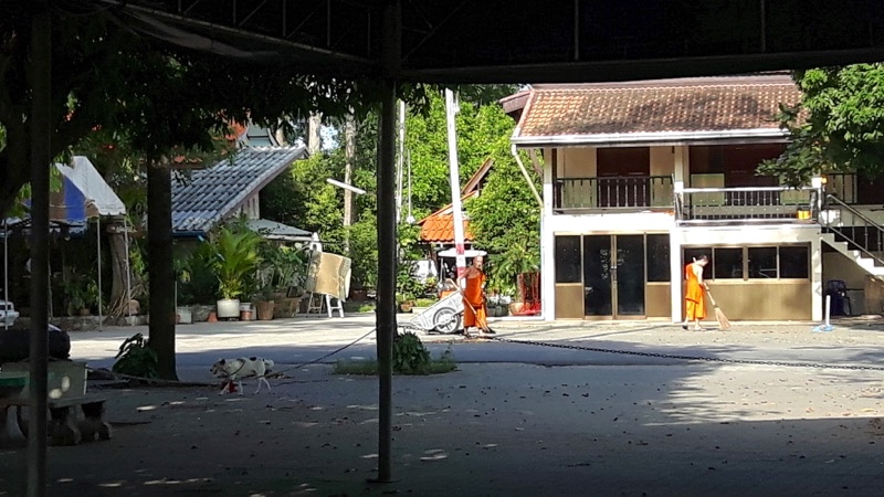 Surat Thani