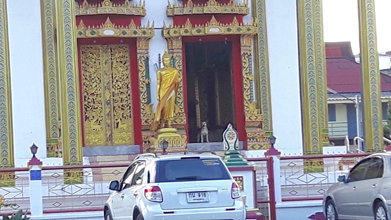 Surat Thani
