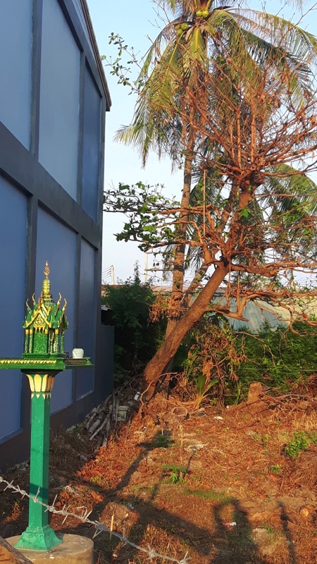 Prachuap