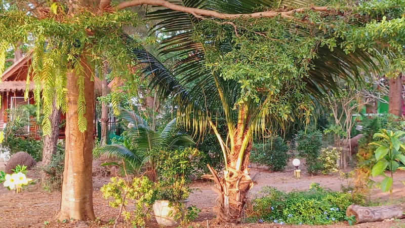 Khanom