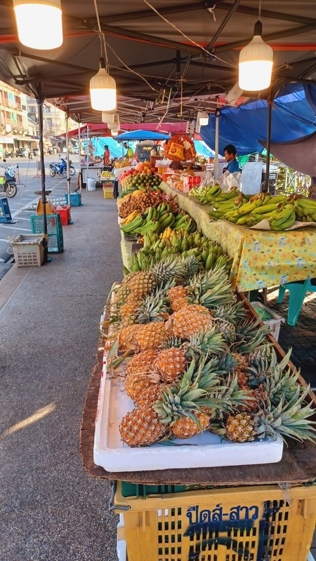 Surat Thani