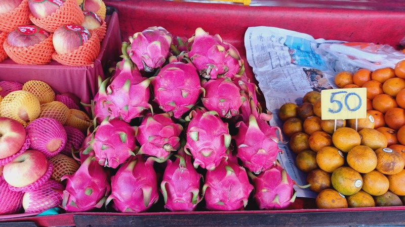 Surat Thani