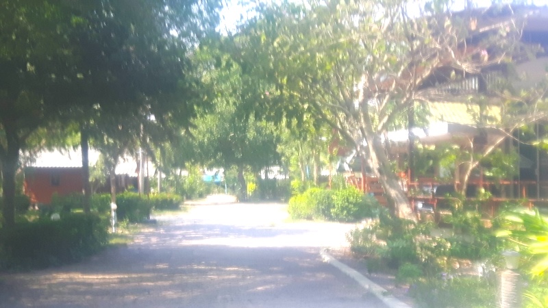 Bankrut