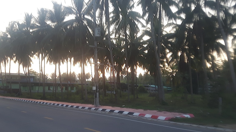 Bankrut