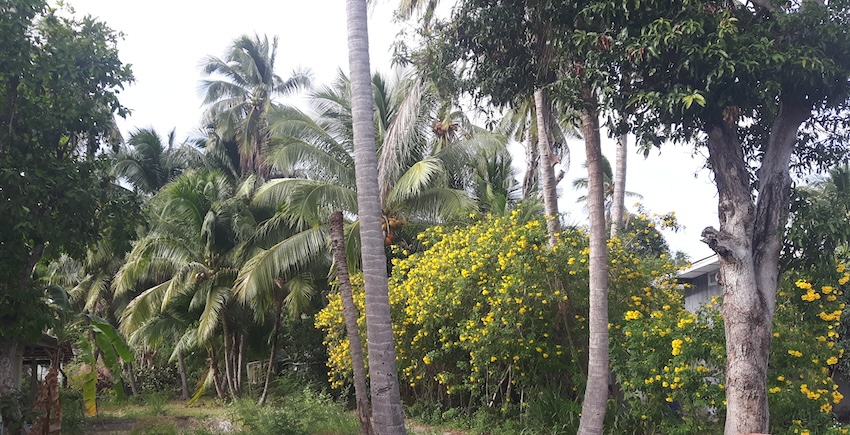Prachuap