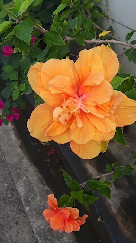 Prachuap