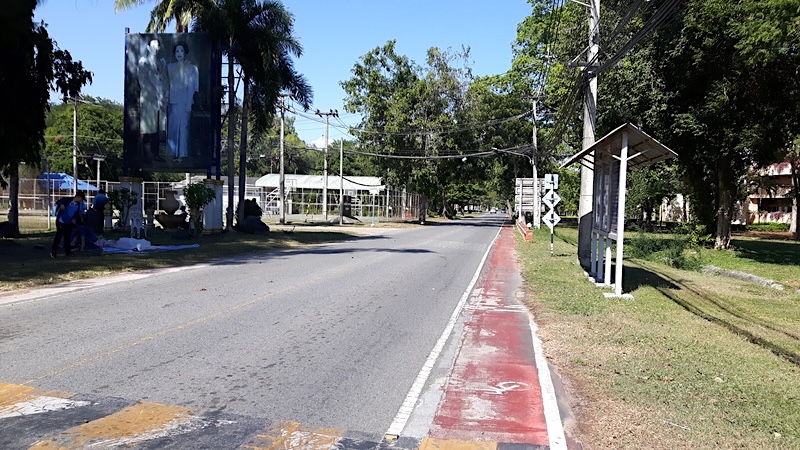 Ao Manao