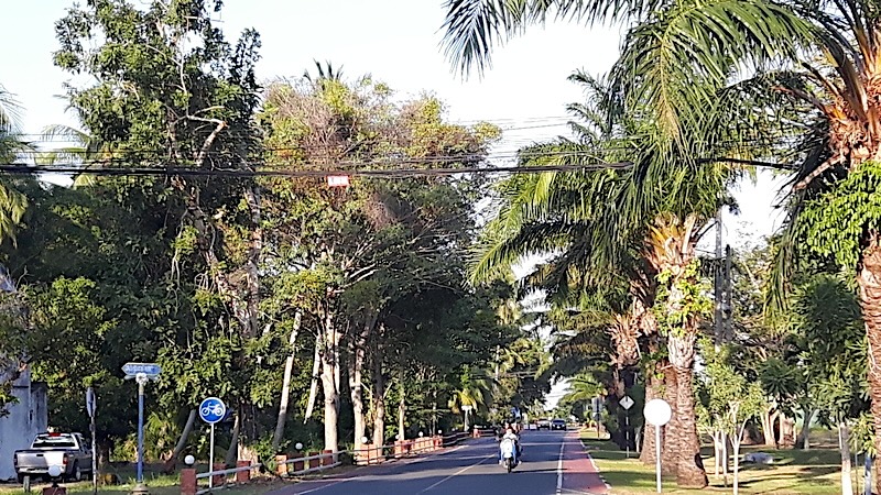 Ao Manao