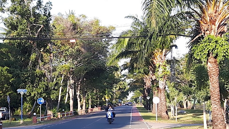 Ao Manao