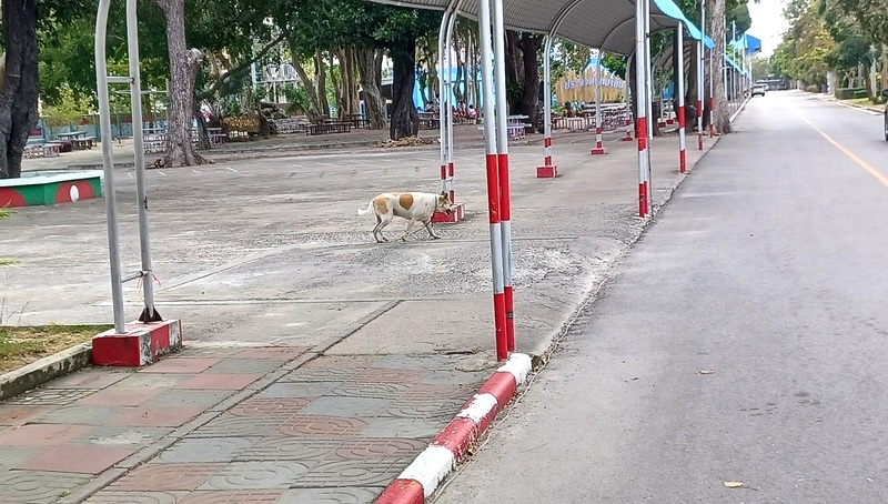 Prachuap