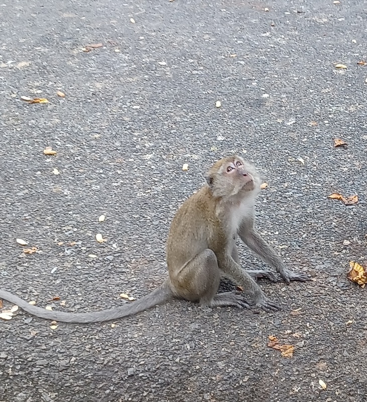 Songkhla