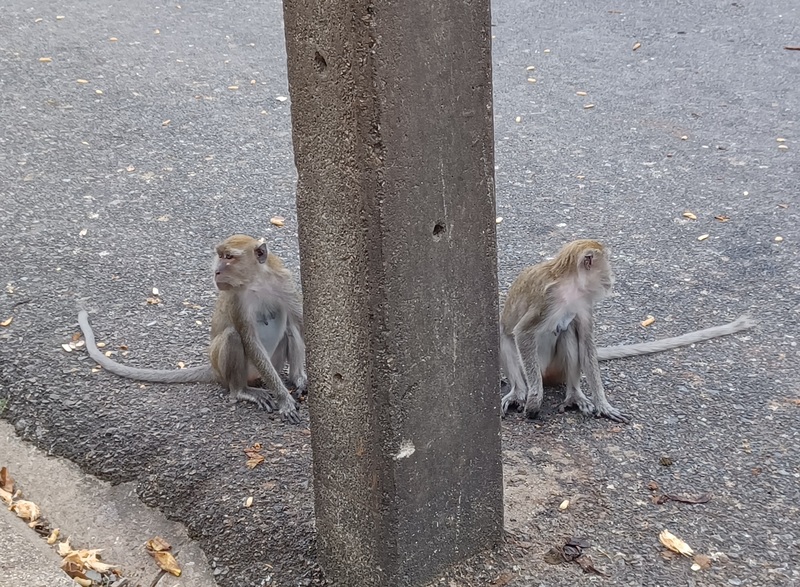 Songkhla