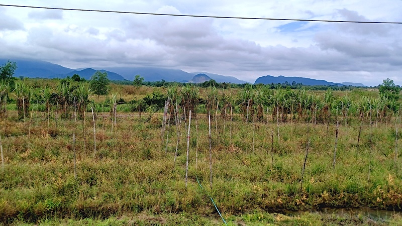 De Phatthalung à Nakhon Si Thammarat