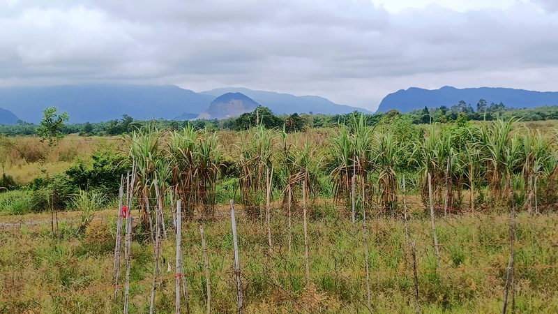 De Phatthalung à Nakhon Si Thammarat