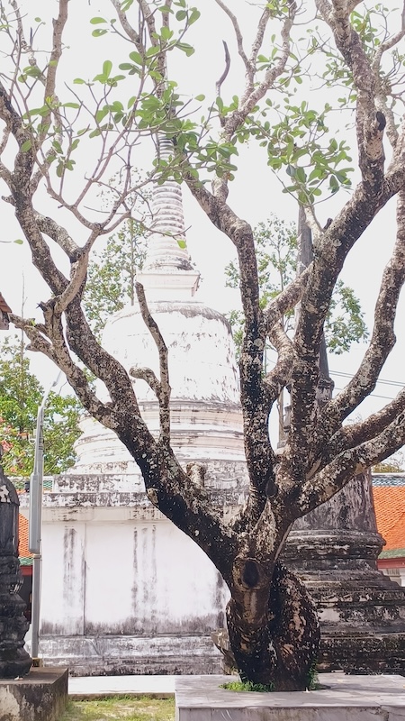 Nakhon Si Thammarat