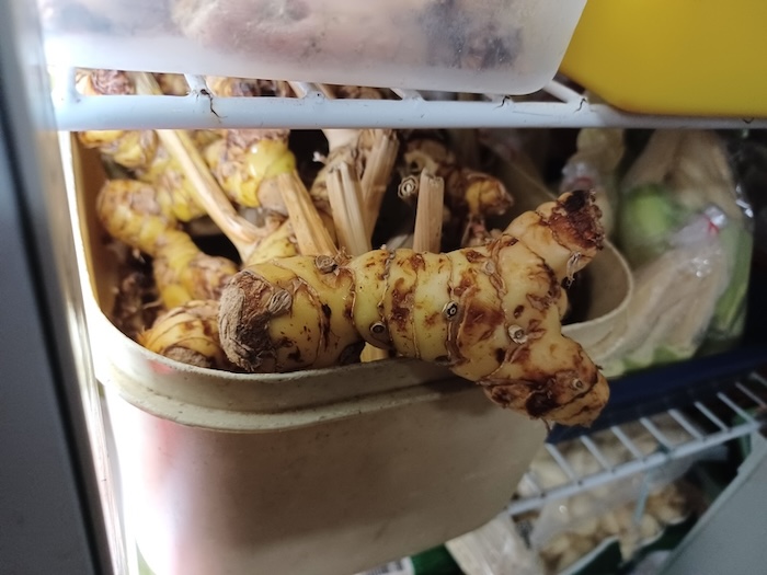 Langkawi - Cenang