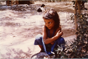  Zebib au Yemen en 1977